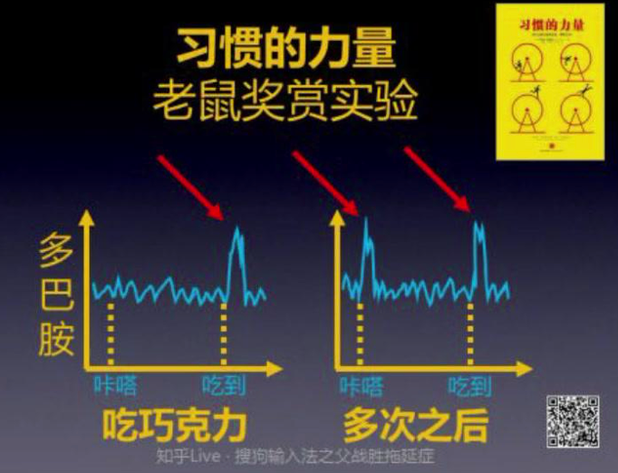 习惯的力量：老鼠奖赏实验中的多巴胺变化