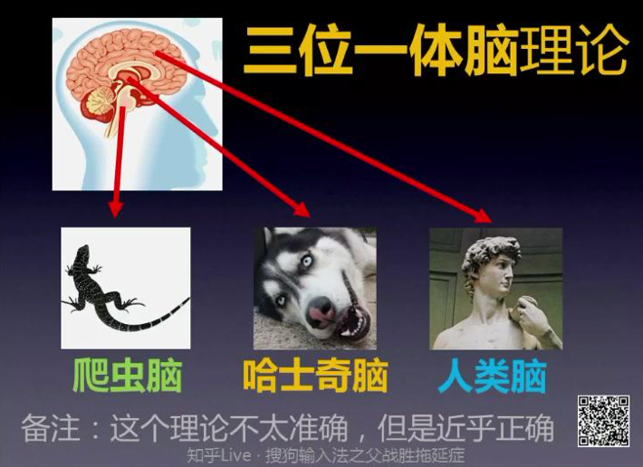 爬虫脑、哈士奇脑与人类脑示意图